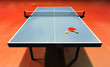 Table - Table tennis - ping pong Table - Table tennis - ping pong