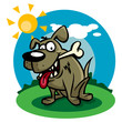 lustiger Hund