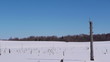 Panorama shoot of winter swamp