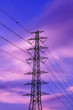 High voltage post .