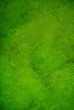 canvas texture