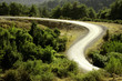 close up shot of a road curve