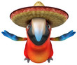 Perroquet mexicain