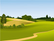 Rural landscape with road