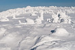 Winter Wonderland Winter Wonderland