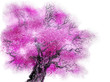 pink tree