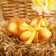 Easter eggs in the nest Easter eggs in the nest