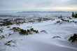 Zimowy widok z Babiej Góry na Tatry 5