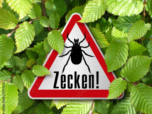 Foto: Zecken! Zecken!