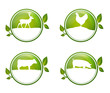 green buttons