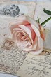 Vintage rose