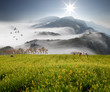 Dramatic clouds with mountain and tree