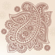Ornate Henna Paisley Doodle Vector Design Elements