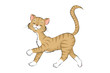 03 Katze spazierend