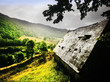 auvergne