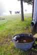 Morning fog, laundry hang on rope bowl water Morning fog, laundry hang on rope bowl water