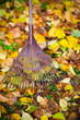 Rake and leafs
