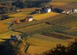 Vigneti presso San Paolo