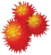 Flower pollen