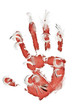Bird killer hand imprint