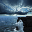 Hawaiian coast