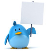 Blue bird