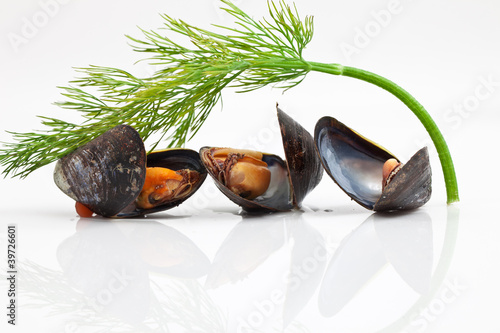 Foto: Miesmuscheln Miesmuscheln