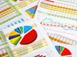 Annual Report in Charts and Diagrams Annual Report in Charts and Diagrams