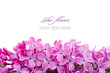 Lilac flowers with sample text