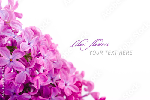 Photo: Lilac flowers with sample text Lilac flowers with sample text