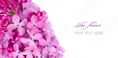 Photo: Lilac flowers with sample text Lilac flowers with sample text