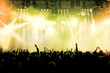 cheering concert crowd