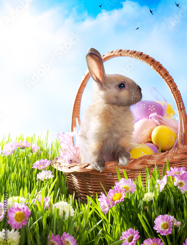 Photo: Easter basket with decorated eggs and the Easter bunny Easter basket with decorated eggs and the Easter bunny