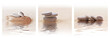 Triptyque galets zen