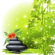 Vector: Spa-Zen-Benessere-Pietre e Bambu-Stones and Bamboo Body Care Spa-Zen-Benessere-Pietre e Bambu-Stones and Bamboo Body Care