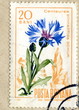 Foto: Vintage romanian postage stamp "Cornflower" Vintage romanian postage stamp "Cornflower"