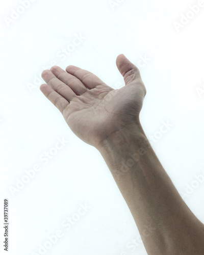 Foto: Empty hand isolated on white background Empty hand isolated on white background