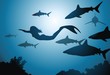 The mermaid and sharks