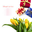 yellow tulips and gift box on  white background