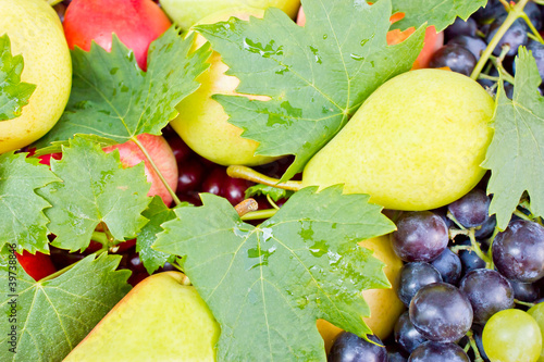 Photo: Fresh organic fruits Fresh organic fruits