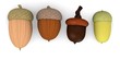 3d render of acorn