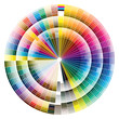 Color tones dynamic transformations