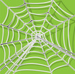 spider net vector background