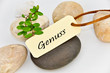 Genuss