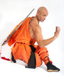 Shaolin warrior monk