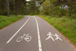 Bicycle and walking lane in forest. Outdoor sport, fitness