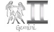 Gemini Chrome Zodiac Signs