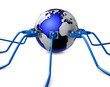 www