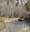 Frozen river (Rio Lobos canyon,Soria)
