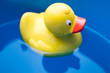 Gelbe Ente